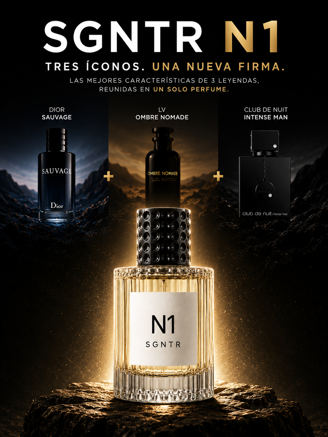 SGNTR N1